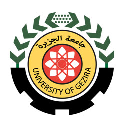 Gezira University